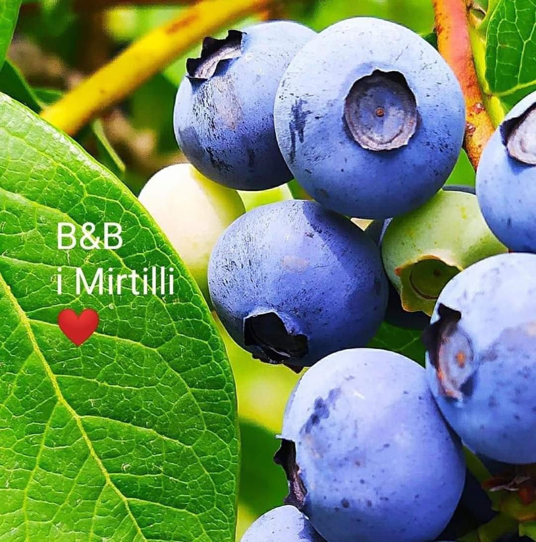i mirtilli Pianezze Esterno foto