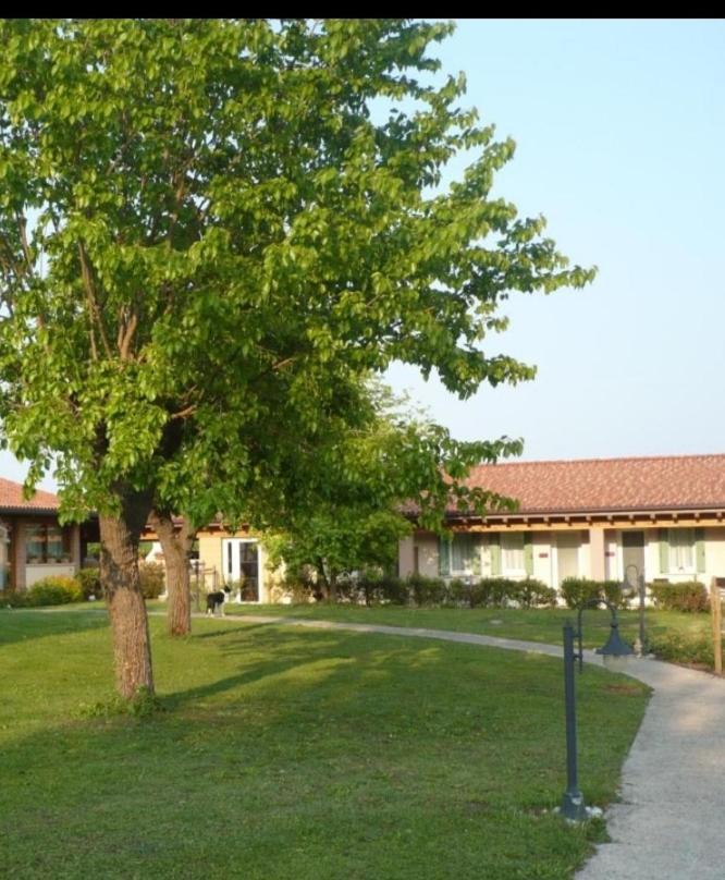 i mirtilli Pianezze Esterno foto