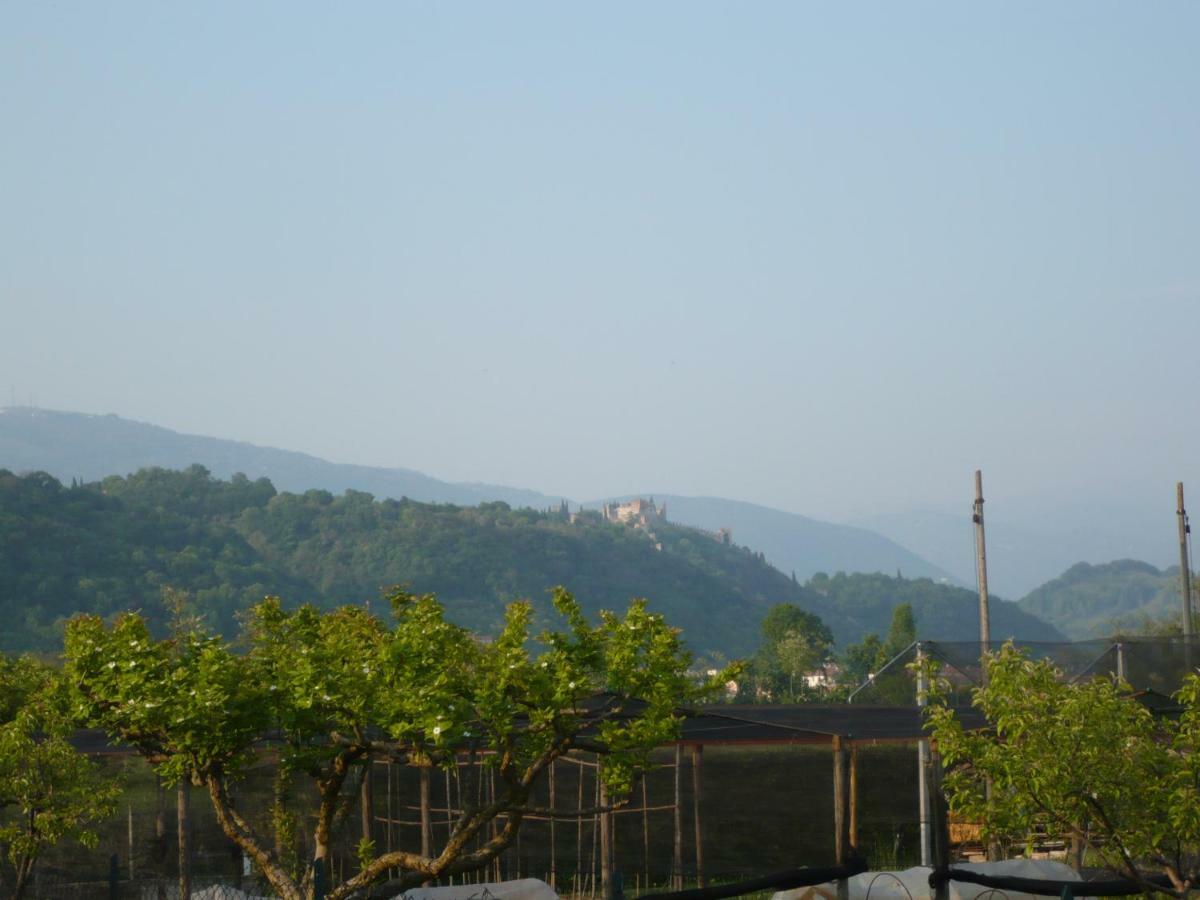 i mirtilli Pianezze Esterno foto
