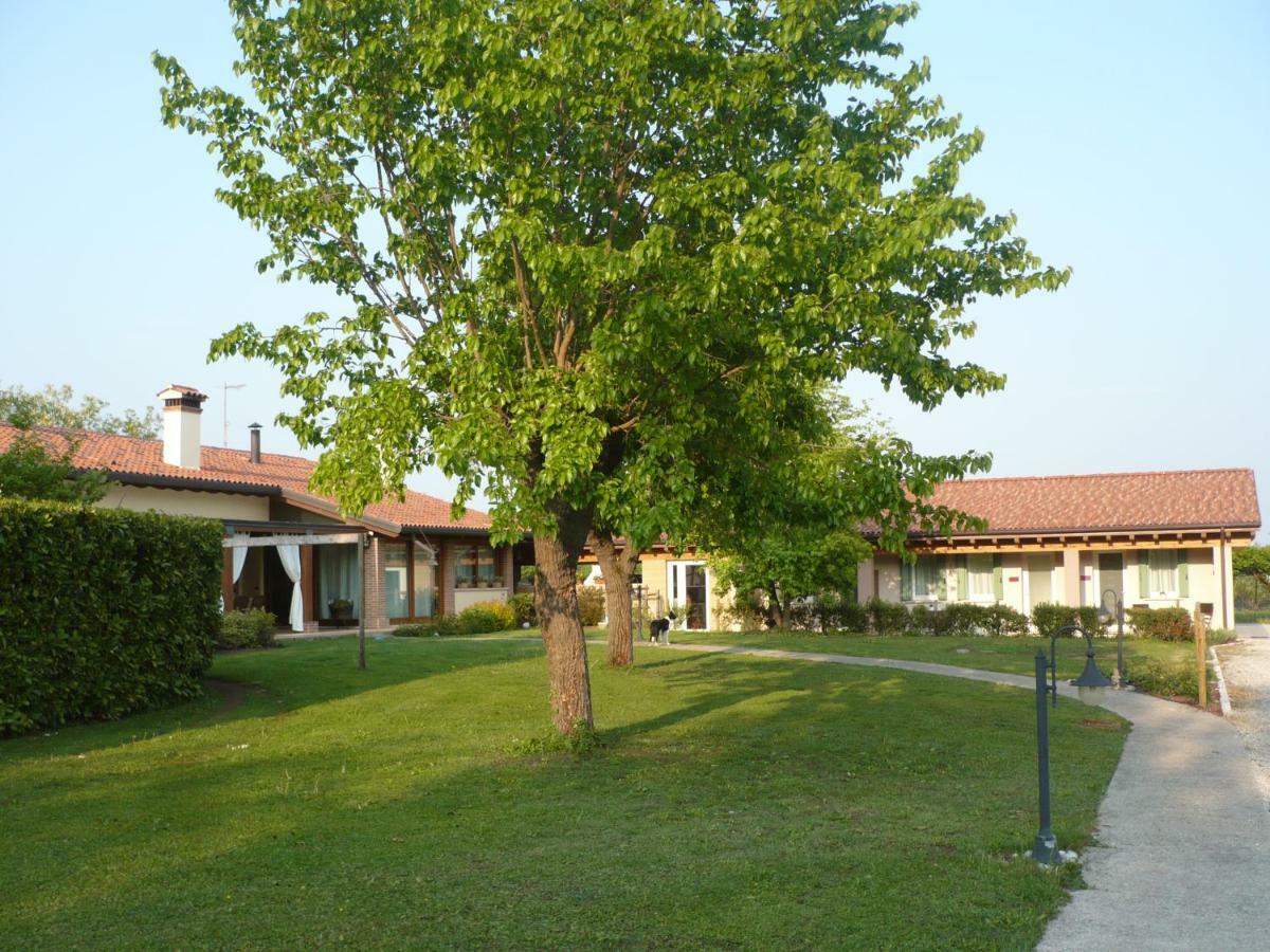 i mirtilli Pianezze Esterno foto